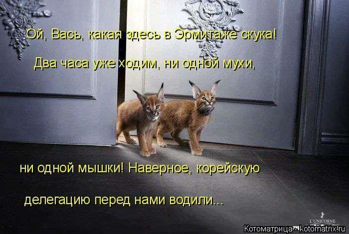 Не быточный