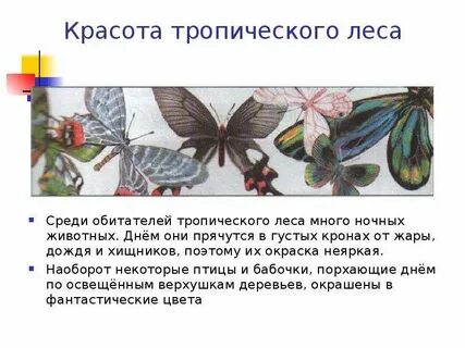 Среди обитателей
