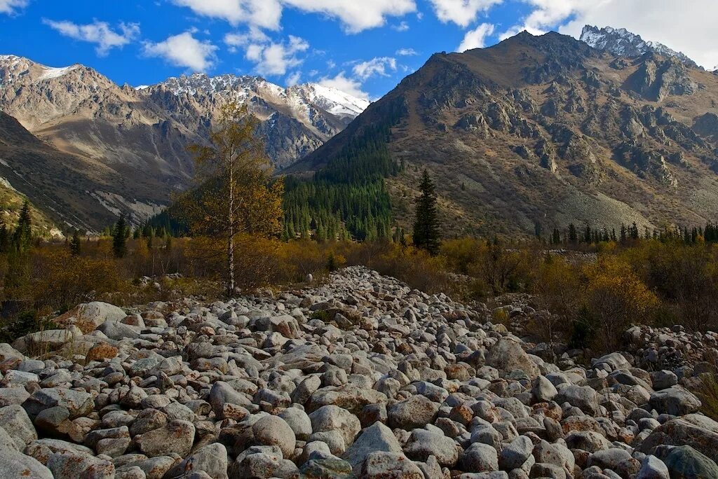 Ала-Арча национальный парк. Ущелье ала Арча. Ала Арча Киргизия. Парк ала Арча Бишкек. Ала пост