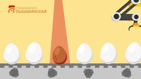 Птицефабрика пышминская