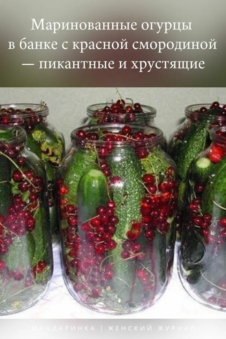 Консервирование с красной смородиной. Огурцы с красной смородиной рецепт. Красивые заготовки на зиму. Консервированные огурцы с красной смородиной. Маринованные огурцы с красной смородиной.