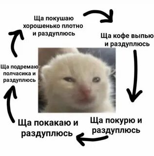 Выпью и покушаю