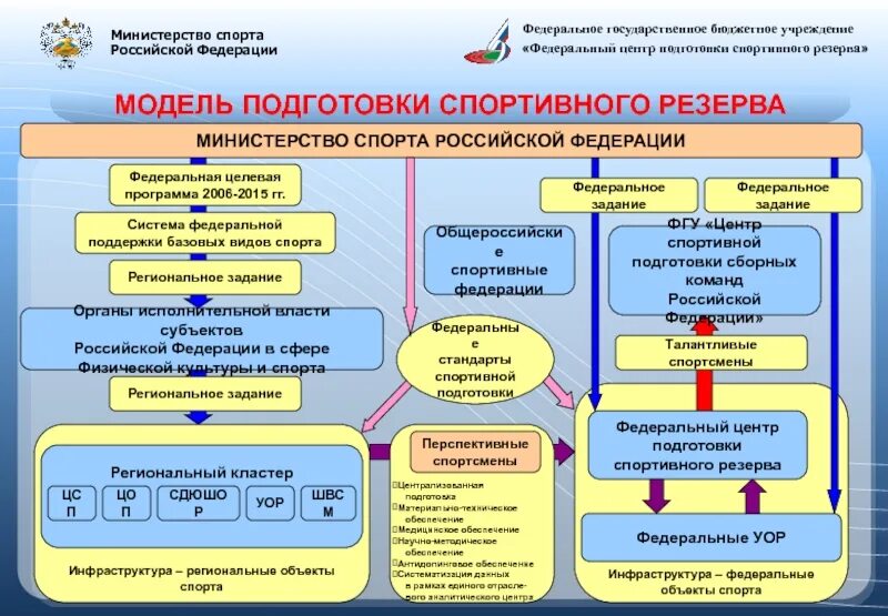 Управление подготовкой спортсмена. Виды спортивных организаций. Подготовка спортивного резерва. Модель подготовки спортсмена. Структура спортивной подготовки.