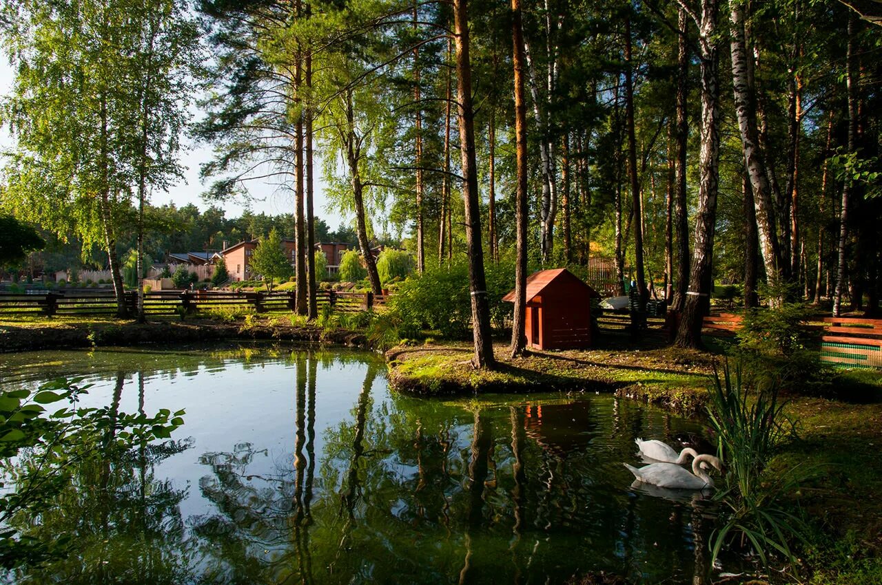 Загородный клуб московская область. Артиленд отель Балашиха. ARTILAND загородный. Арти ленд отель Подмосковье. Загородный клуб ARTILAND.