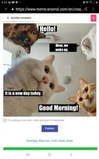 Text memes
