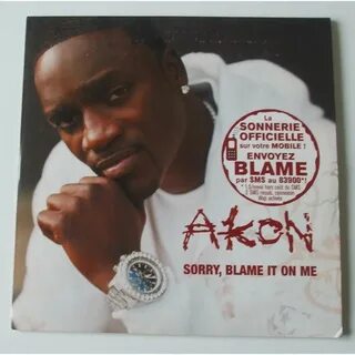 Sorry Blame It On Me Lyrics Akon