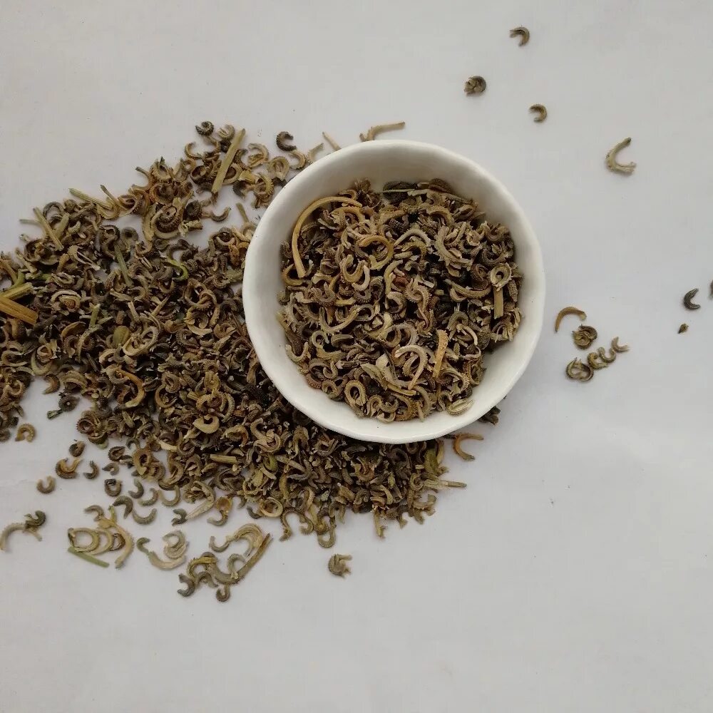 как выглядят семена календулы. семена календулы. как выглядят семена календулы. семена календулы. плод семянка календулы обыкновенной.