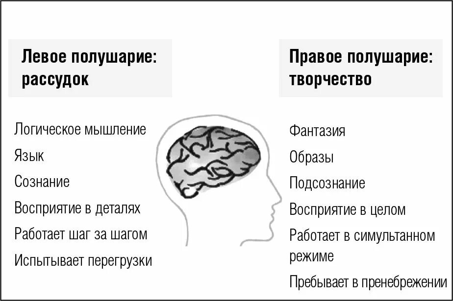 Левое полушарие мозга. Правое и левое полушарие мышление. Левое полушарие мышление. За что отвечает правое полушарие.