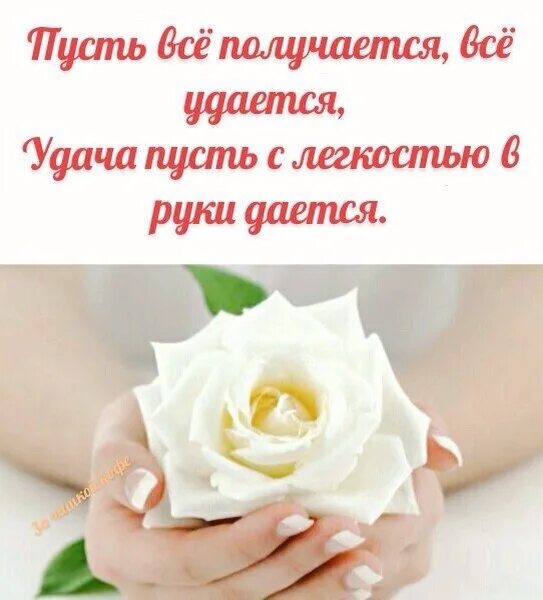 Пусть тебе в жизни все удается. Пусть сегодня все получится. Пусть все получится. Открытка все получится. Пусть у тебя все получится.