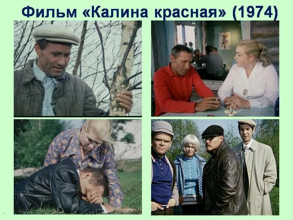 Сколько было шукшиной в калине красной. Калина красная (1974). Шукшин Калина. Шукшин в. "Калина красная". Калина красная Василия Шукшина.