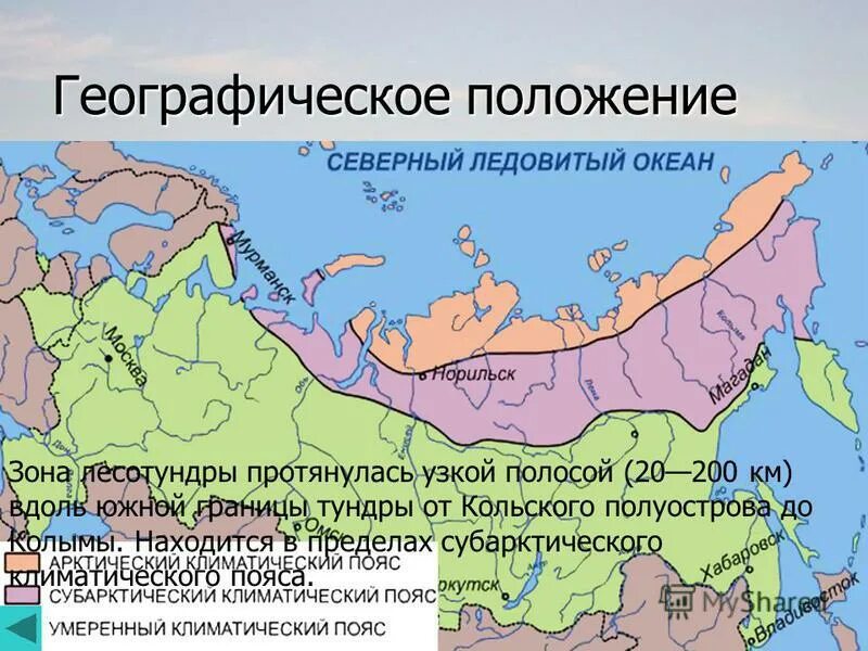 Географическое положение зоны тундры в России. Географическое положение лесотундры в России на карте. Географическое положение тундры в России карта. Лесотундра географическое положение.