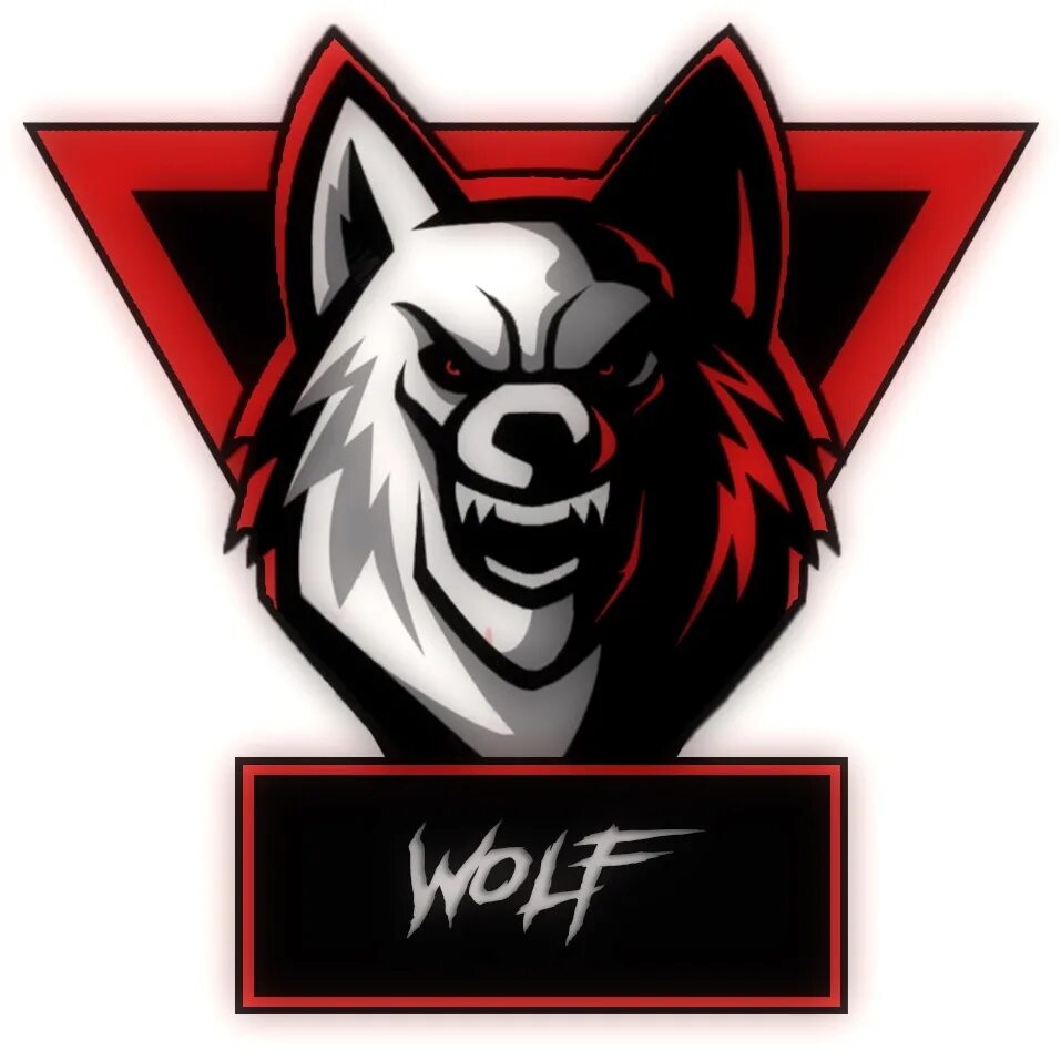 Волк в клубе. Спортклуб Wolves. Wolf Club бойцов. Wolf Group Жуковский.