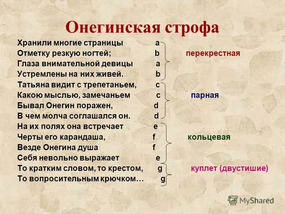 На каком языке онегин. Онегинская строфа это в литературе.