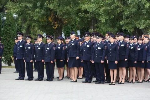 Пдн увд