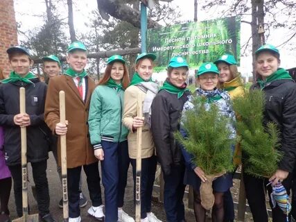 Школьное лесничество появилось