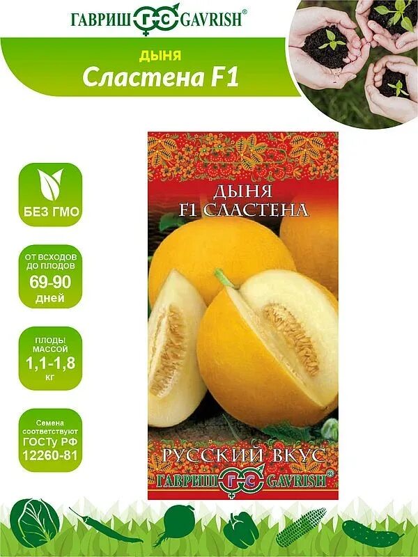 Дыни гавриш. Дыня сластена гавриш. дыня славия гавриш. дыня сладкоежка. дыня блонди гавриш.