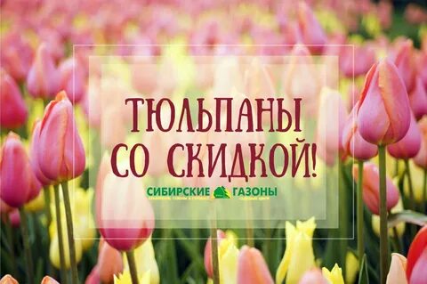 Слово тюльпаны большими буквами