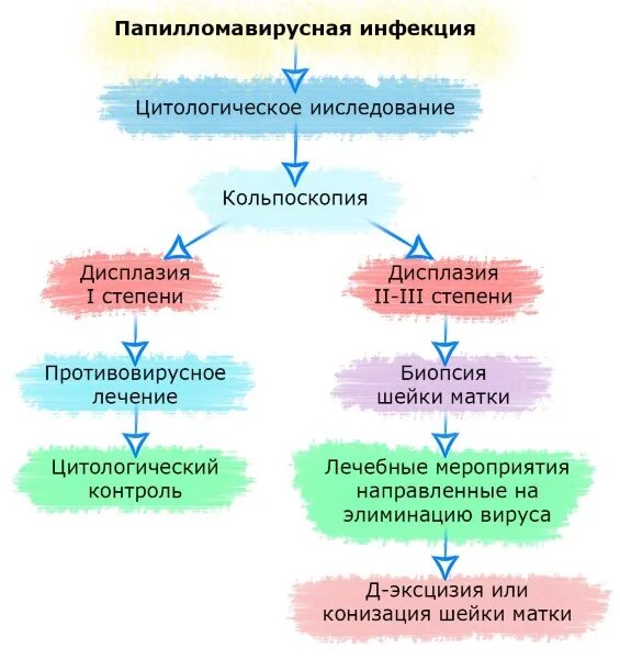 Лечение впч препараты схема лечения. Схема лечения папилломавирусной инфекции. Схема лечения папилломавирусной инфекции у женщин. Патогенез папилломавирусной инфекции. Клинические проявления папилломавирусной инфекции.