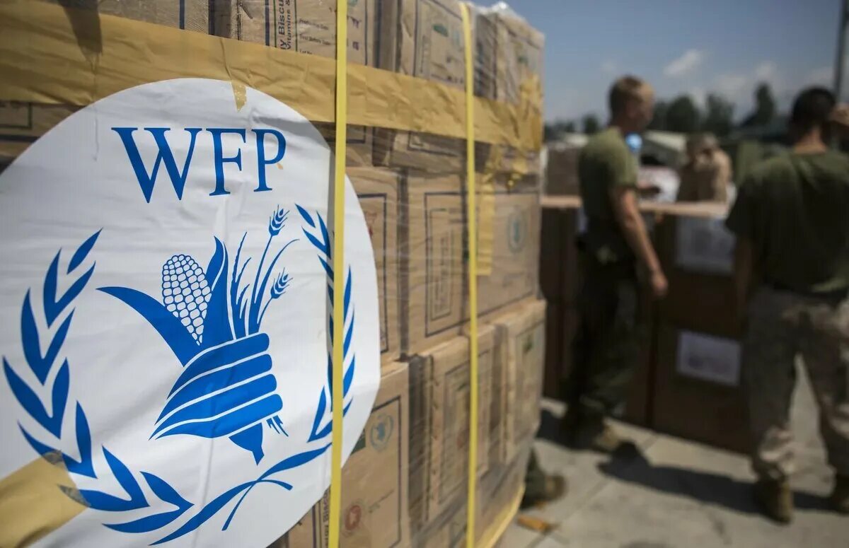 Всемирная продовольственная программа ООН (ВПП). ООН WFP. Всесвітня продовольча програма ООН (WFP). World food program ООН. Продовольственная оон