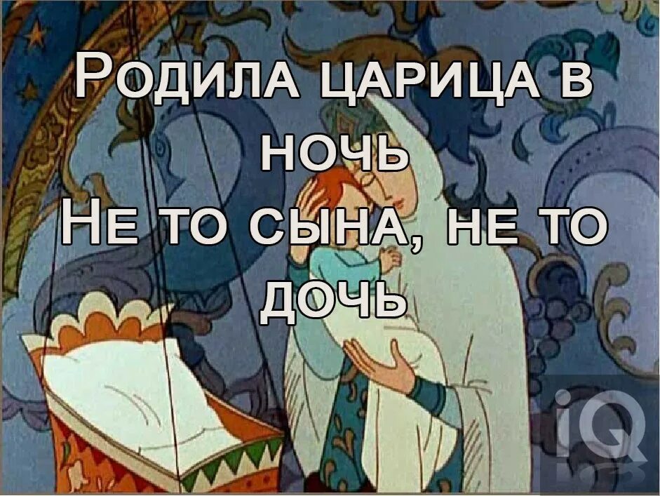 Царица родила дочь. Сказка о царе Салтане родила царица в ночь. Пушкин родила царица в ночь. Родила царица в ночь Трицератопс. Родила царица в ночь не то сына не то дочь иллюстрации.