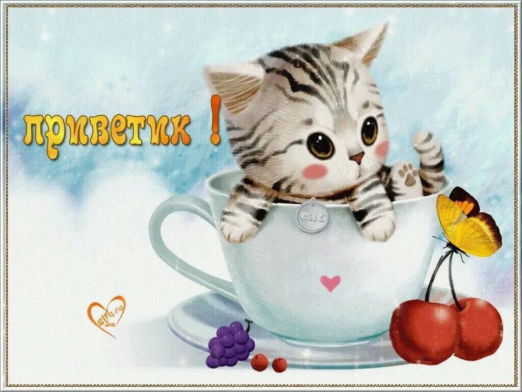 Открытки утренний приветик. Открытки привет с добрым утром. Стикеры с добрым утром красивые. Привет с добрым утром. Приветик доброе утро.