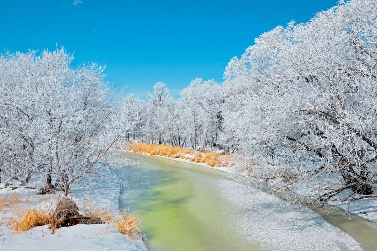 Картинки зима красивые. Қиш манзаралари. Природа зимой. Красота зимы. Красота природы зимой.