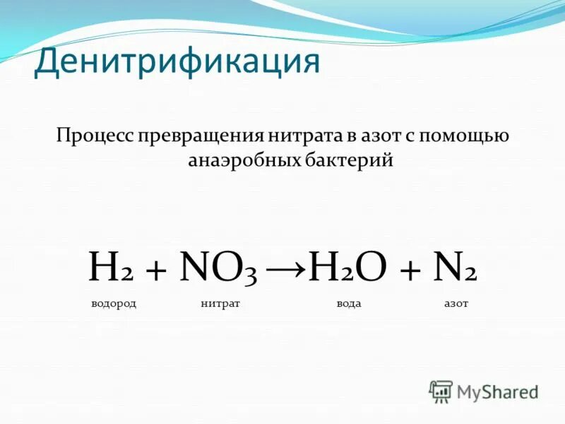 Нитраты нитриты и нитрозосоединения в пищевых продуктах. Превращение нитратов в нитриты. Процесс денитрификации. Схема превращения нитратов в организме. Превращение нитратов в организме человека.