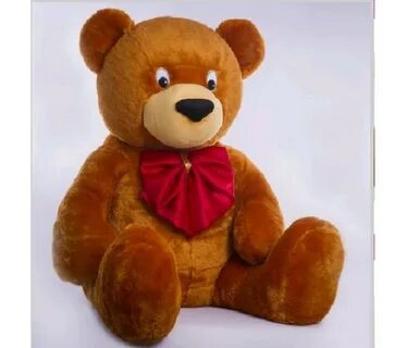 Teddy 5
