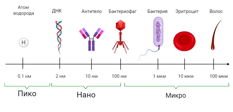 Нанотехнологии Размеры частиц. Шкала микро нано. Нанотехнологии сравнение размеров. Микро макро Размеры.