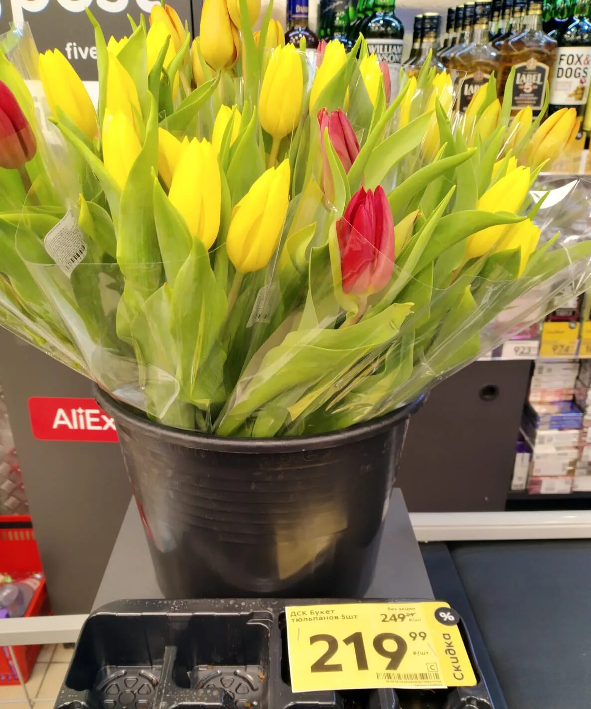 Сколько будут стоить тюльпаны в 2024. Цвета тюльпанов. Тюльпаны 8. Стоячие тюльпаны.