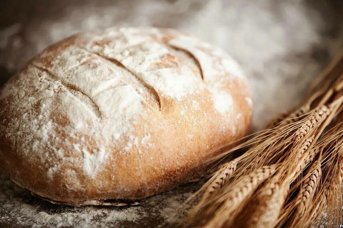 Свежеиспеченный. Хлеб. Красивый хлеб. Выпечка хлеба. Свежеиспеченный хлеб.