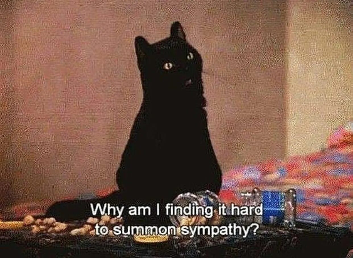 Finding it so hard