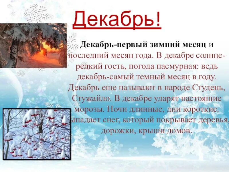 Почему декабря. Декабрь последний месяц года. декабрь первый зимний месяц. последний зимний месяц в году. 1 декабря.