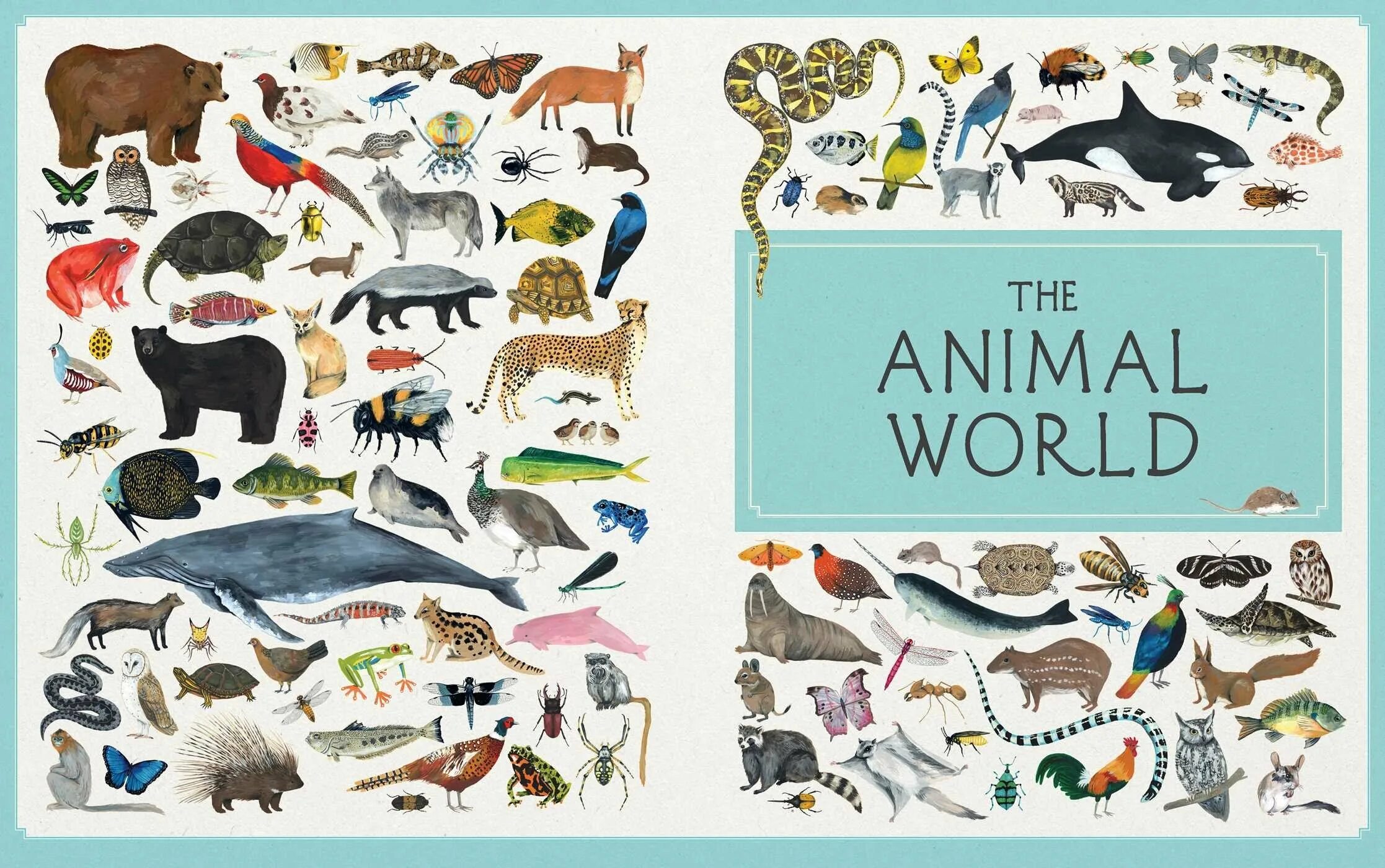 В царстве животных. Плакат. Животные. Царство животных плакат. Тема animal World.