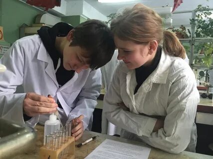 Химфак курс