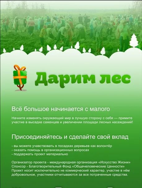 Текст прогулка по майскому лесу дарит много
