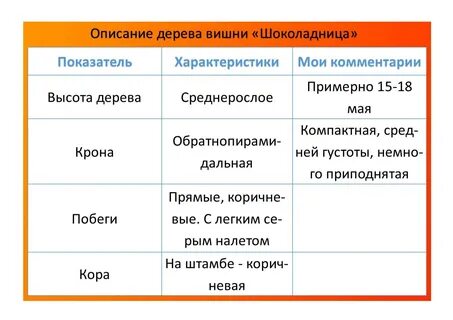 Шоколадница вишня описание сорта отзывы опылители