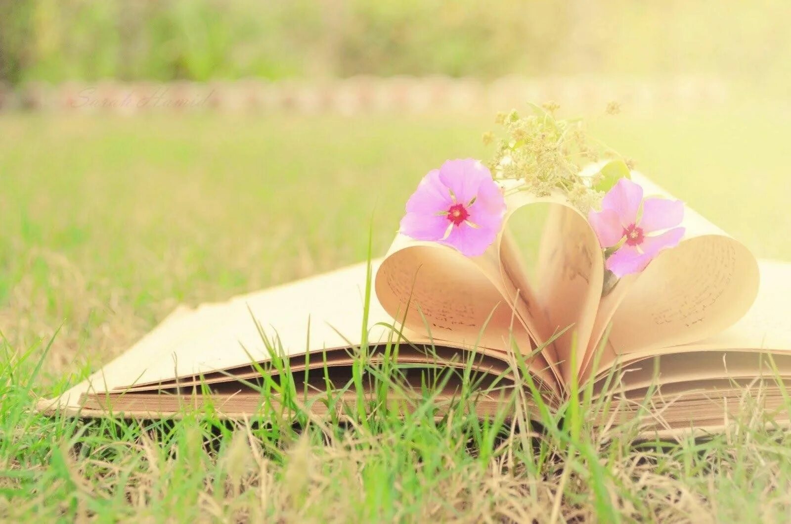 Книга цветы. Чтение весной. Читаем книги весной. Читаем книги весной. Книги о весне.