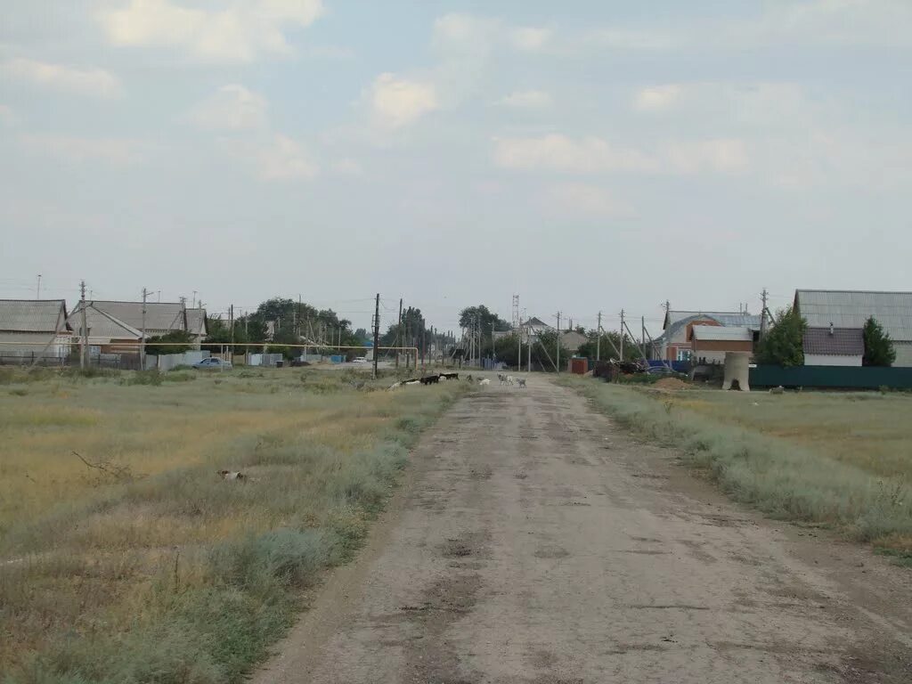 Новоузенск где. Новоузенский район село Бессоновка. Новоузенский район Саратовская область. Куриловка Новоузенский район Саратовская. Береговой Новоузенск.