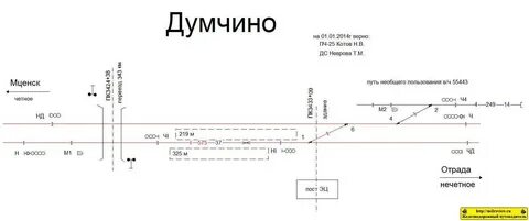 Разделы тра
