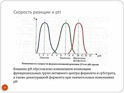 Зависимость активности ферментов от ph среды