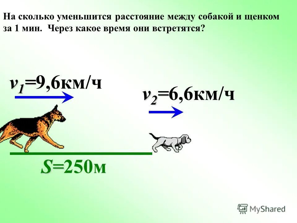 Какой интервал между щенков. Расстояние между собаками на тросе.