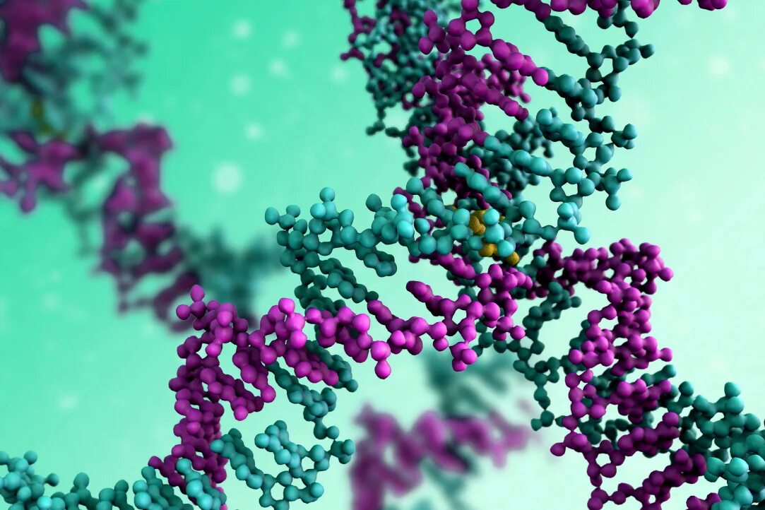 Protein That Helps Melanoma Become More Aggressive Uncovered