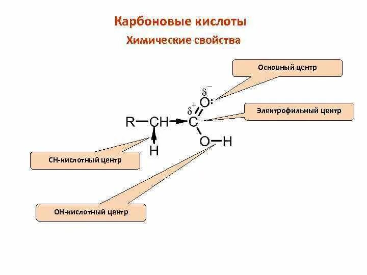 Строение карбоксильной группы. Циклические карбоновые кислоты. Окисление карбоксильной группы. Химические свойства карбоновых кислот. Понятие карбоновых кислот