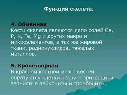 Скелет это в биологии