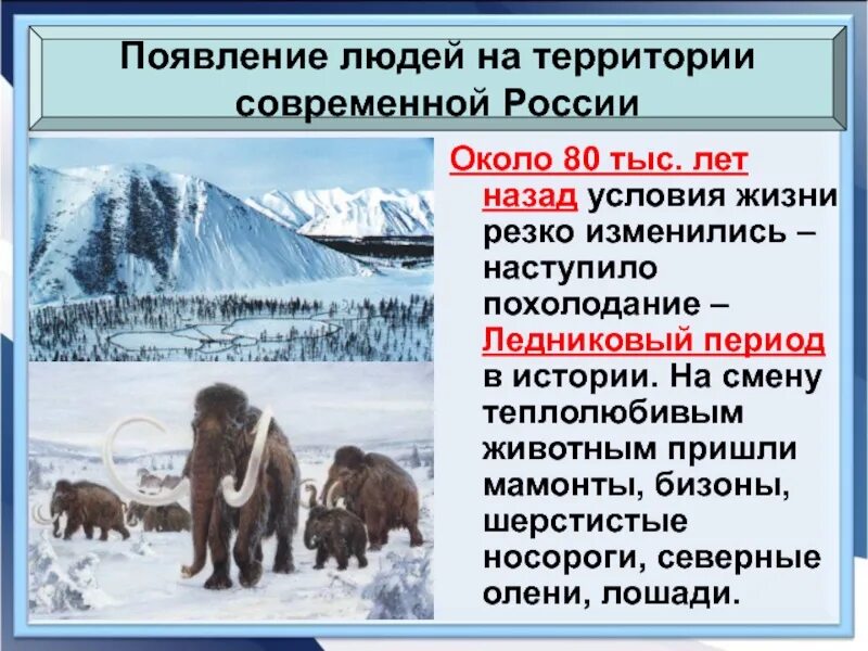 Зимний периуд или период. Ледниковый период в истории земли. 100 Тыс лет назад Ледниковый период. Шерстистый носорог и мамонт. Ледниковый период 80 тысяч лет назад.