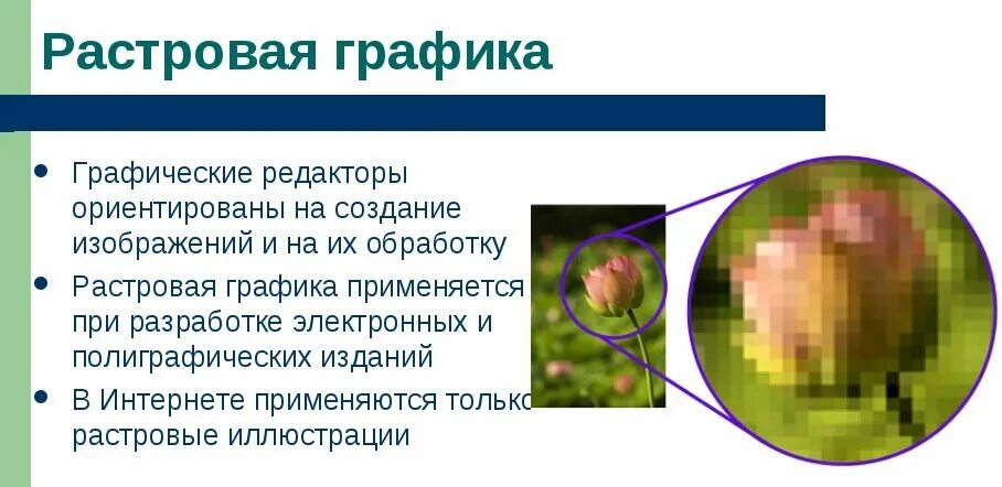 Источники получения растровых изображений