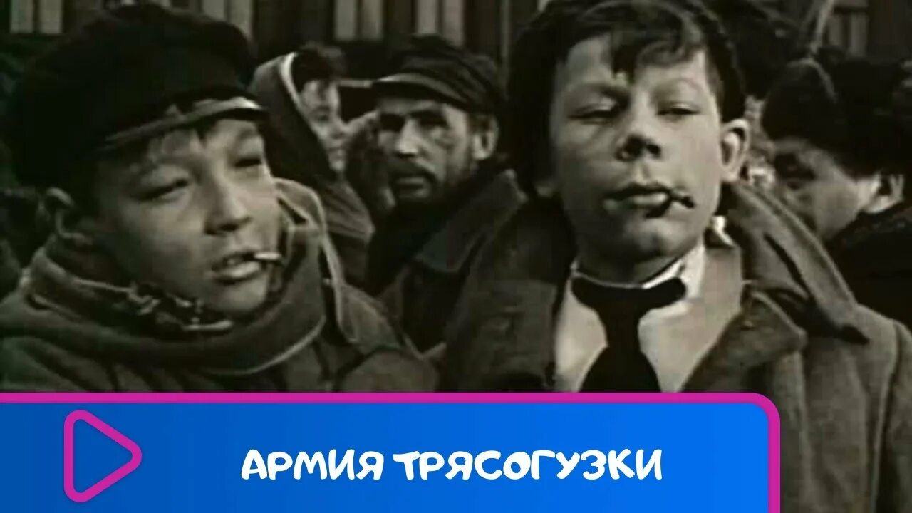 Армия трясогузки. Армия трясогузки для всей семьи!. Армия трясогузки в бою