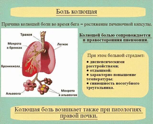 Колит в правом ребре спереди. Болит с правой стороны под ребрами спереди. Болит под правым ребром спереди. Колит с правой стороны под ребрами спереди. Справа бок под ребрами спереди.