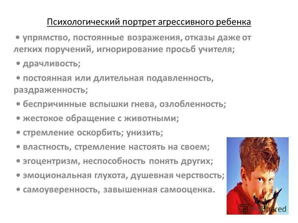 План психологического портрета. План психологического портрета. Психологический портрет школьника. Социально психологический портрет как составить. Личностные качества социального педагога.